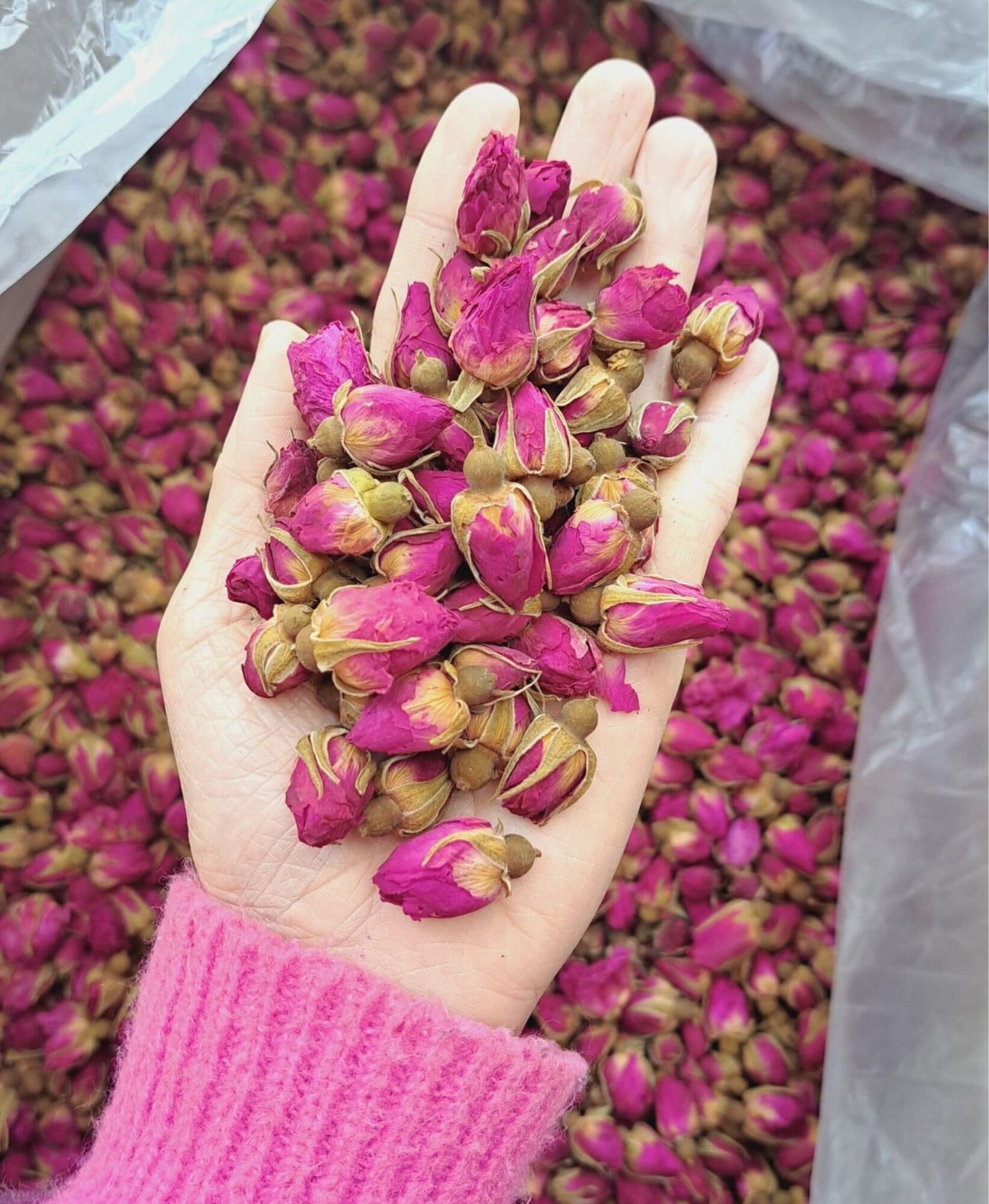 NỤ HỒNG KHÔ IRAN ( túi zip 100gr / 200gr / 500gr )