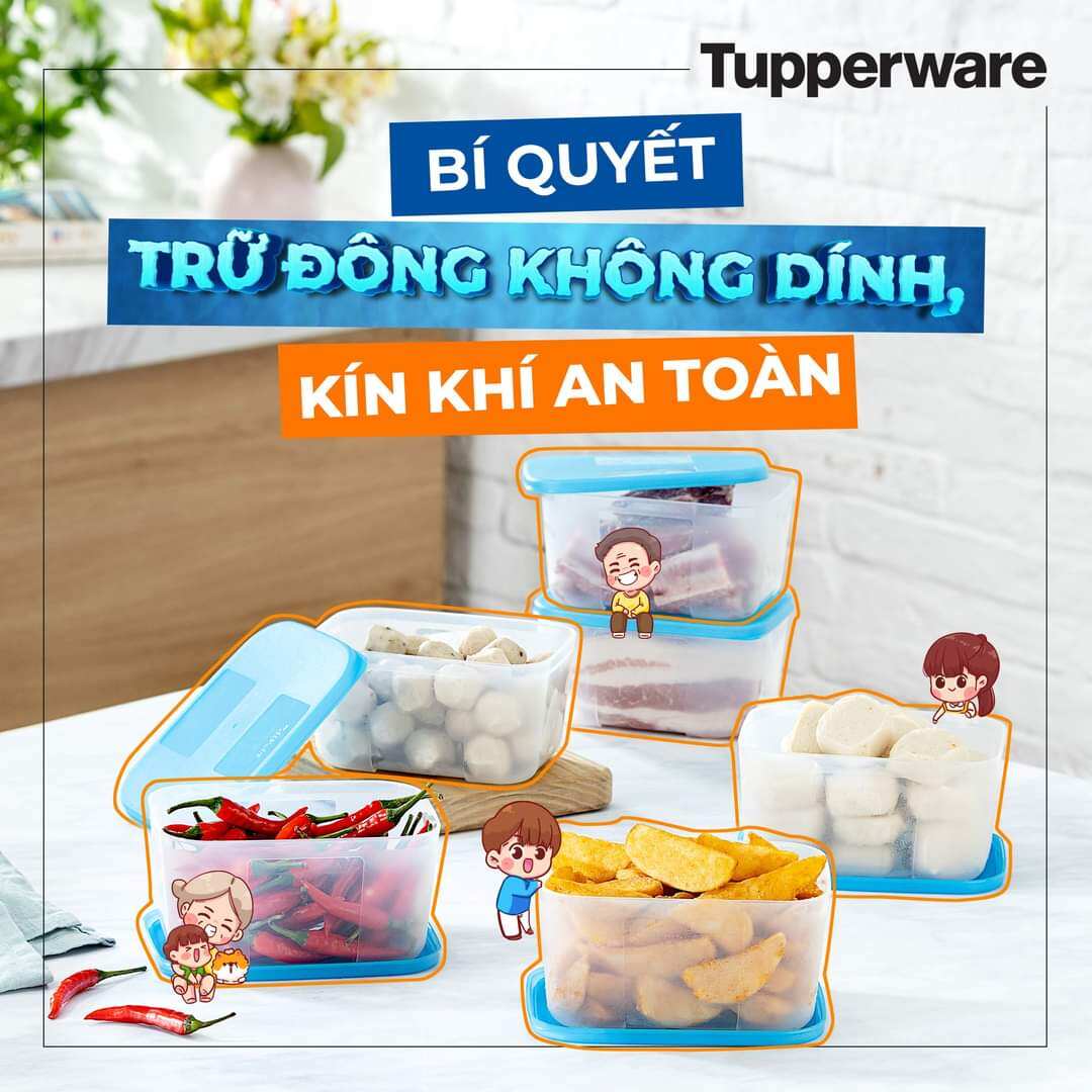 Bộ hộp trữ đông 6 hộp Tupperware 650ml