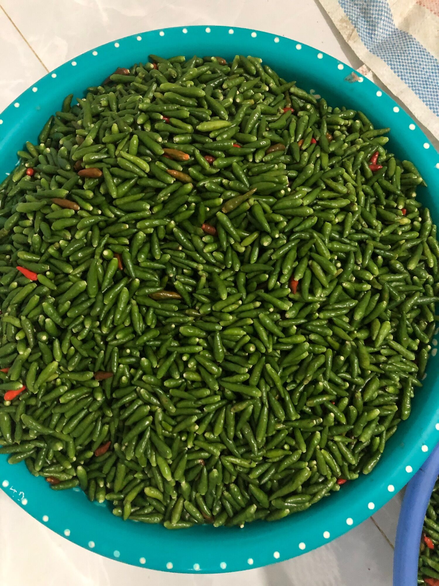 Ớt thóc sóc muối (200k//3 chai y hình)