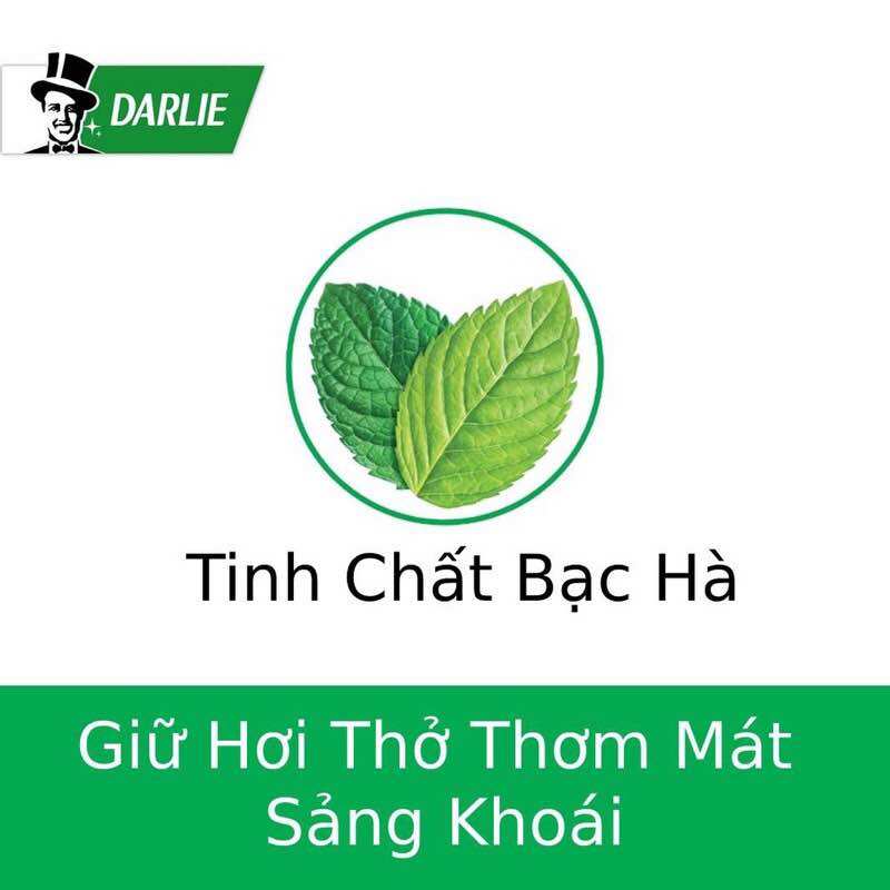 Kem đánh răng (ông già)Darlie Double Action 225g