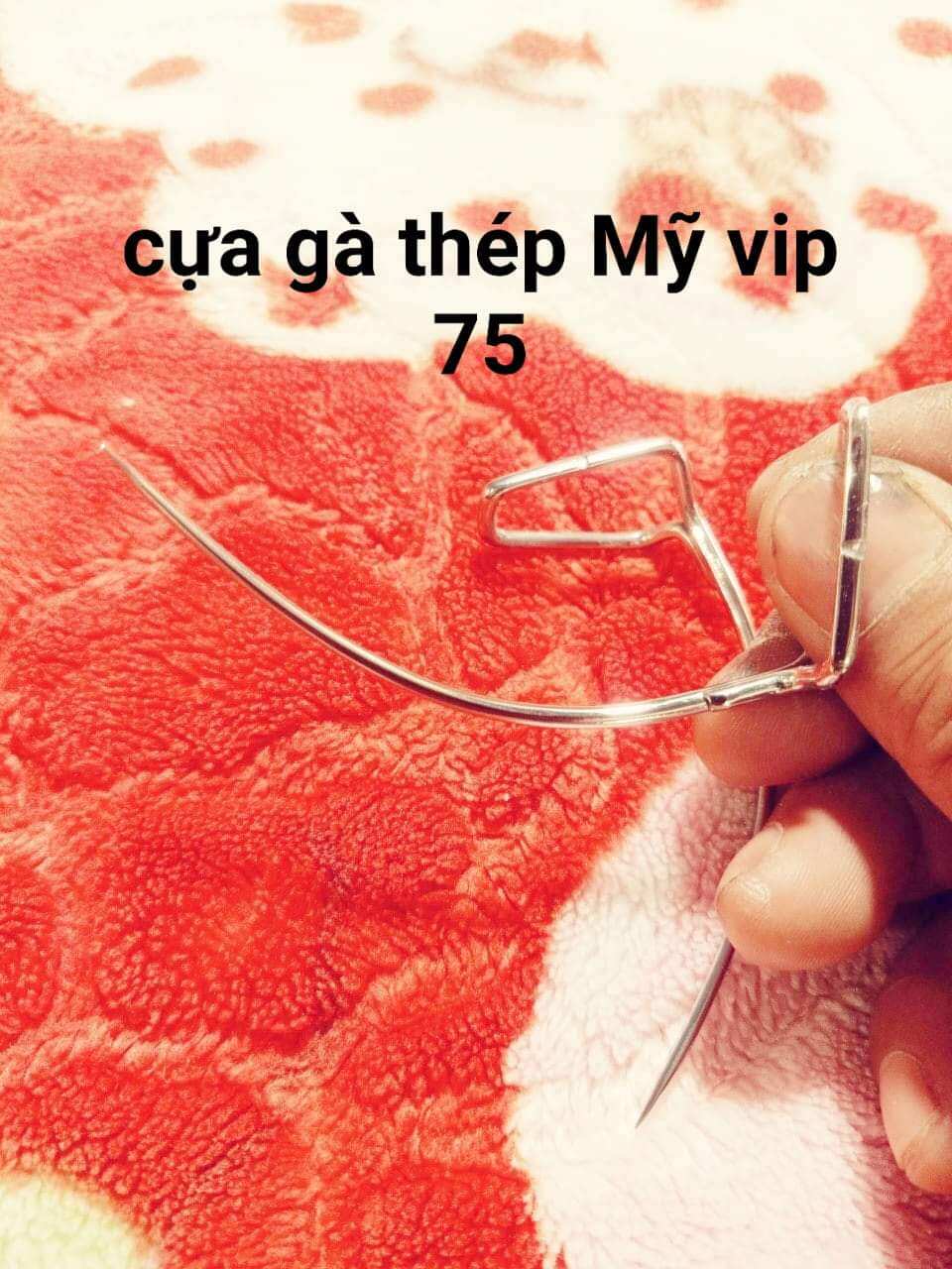 cựa gà thép Mỹ vip