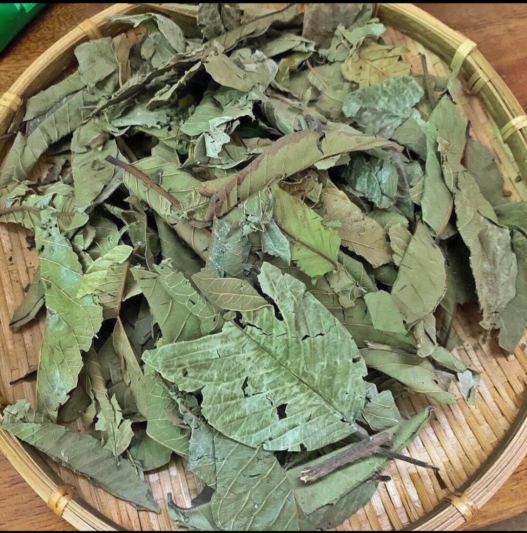 Bột lá ổi dùng pha trà, hỗ trợ giảm cân túi 500g