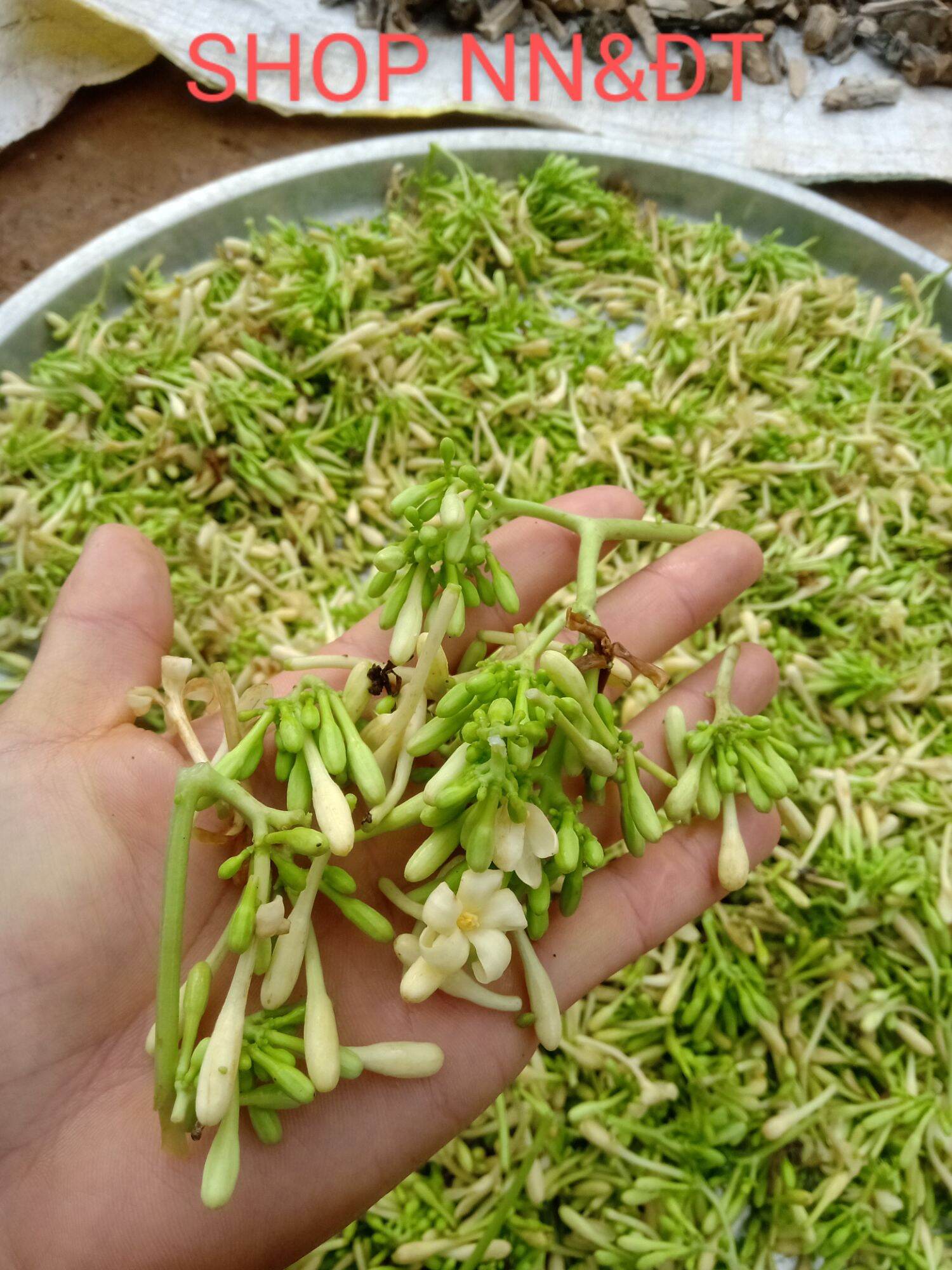 Hoa Đu Đủ Đực Khô 200gr