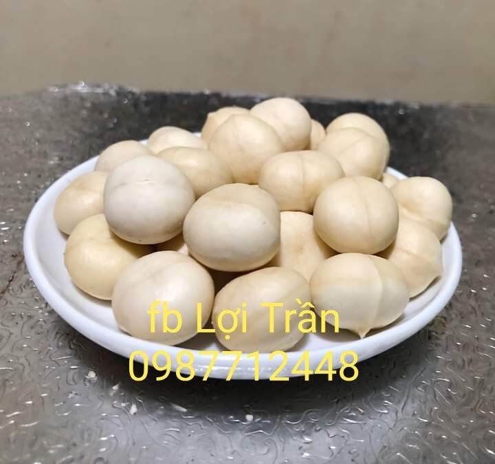 500gr Nhân Macca Đắk Lắk nguyên hạt