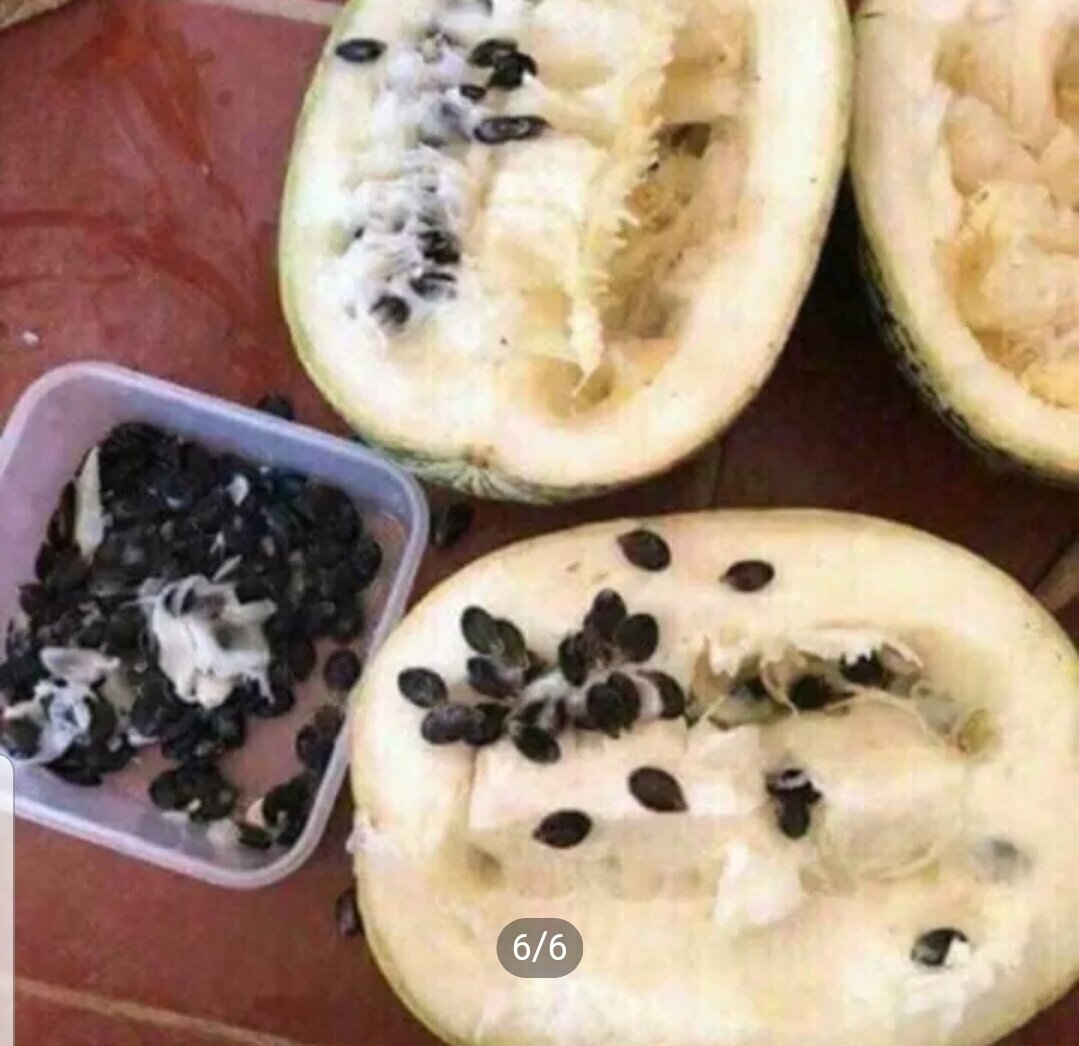 500g hạt bí mèo đen