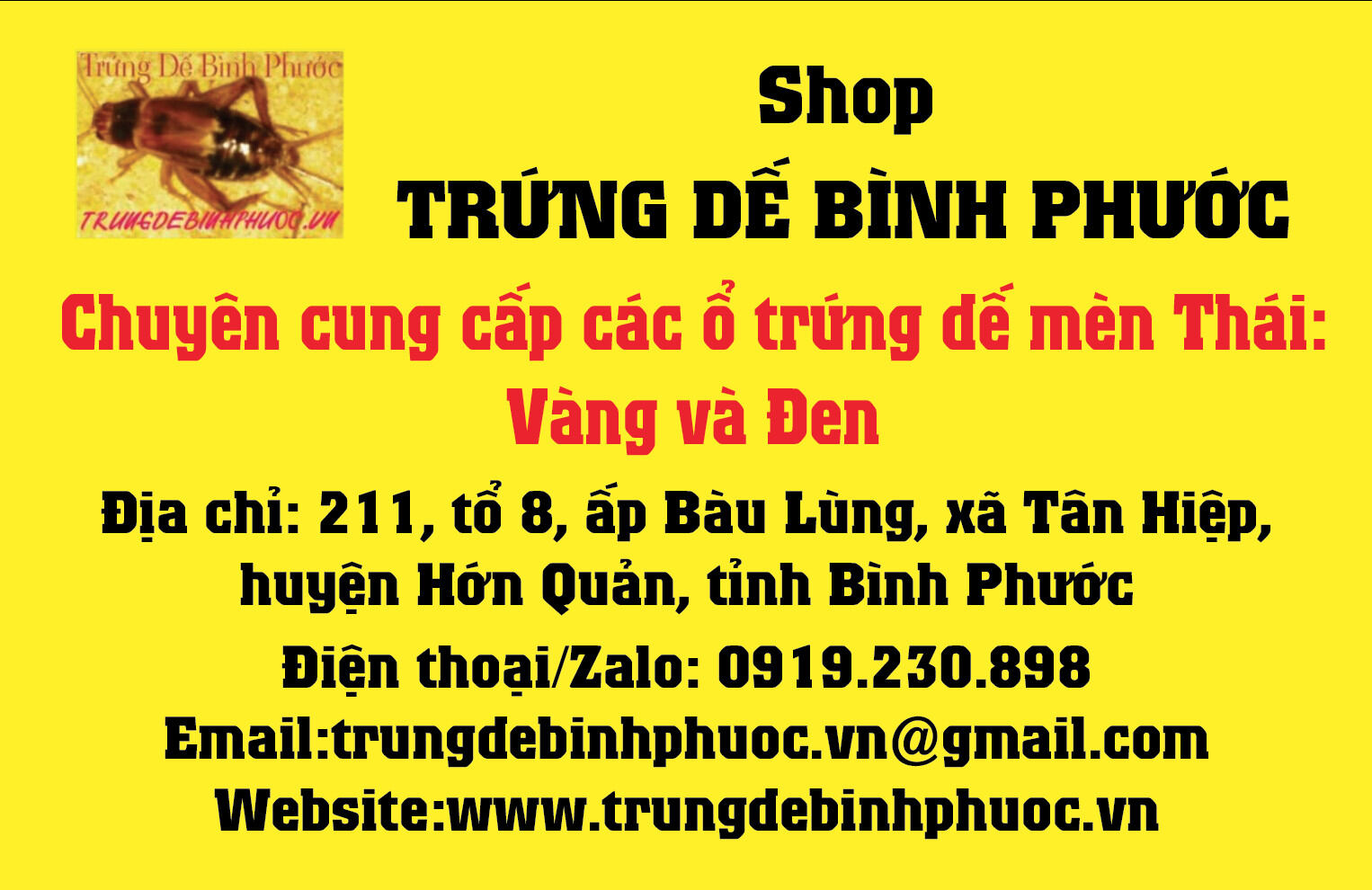 Trứng Dế Thái Vàng: Combo 2 ổ
