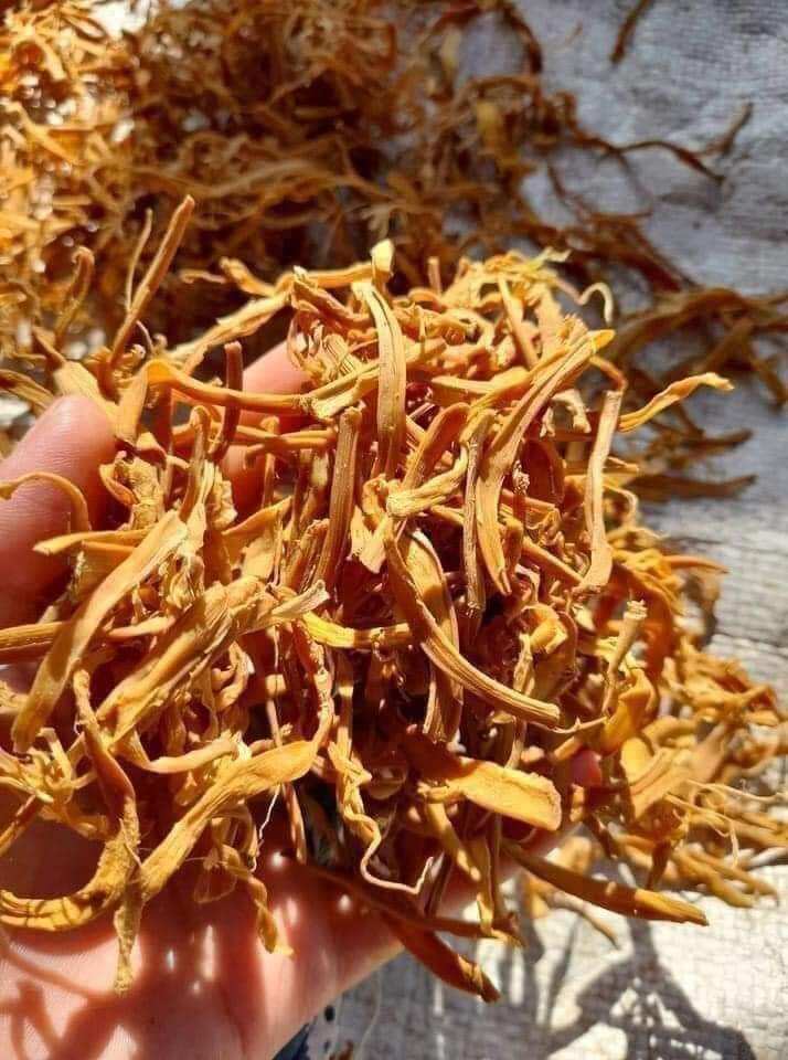 1kg măng rối tây bắc vụ mới