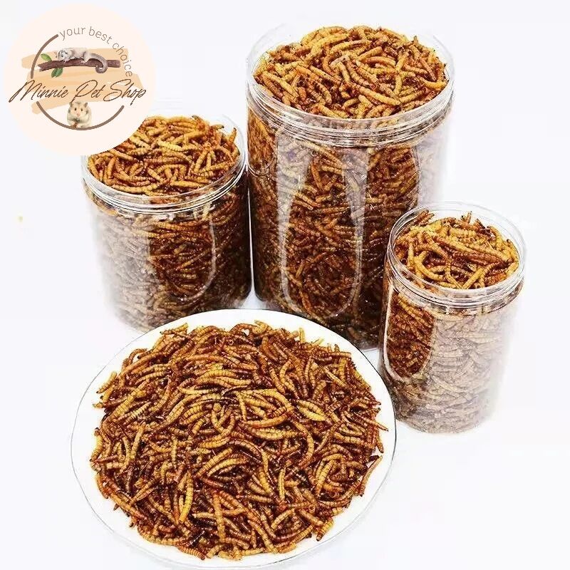 Hủ sâu khô superworm cho Hamster (100g)