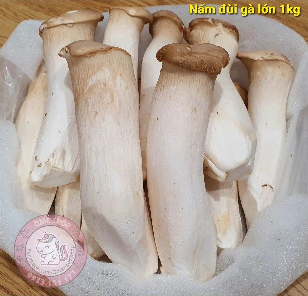 Nấm đùi gà lớn 1kg