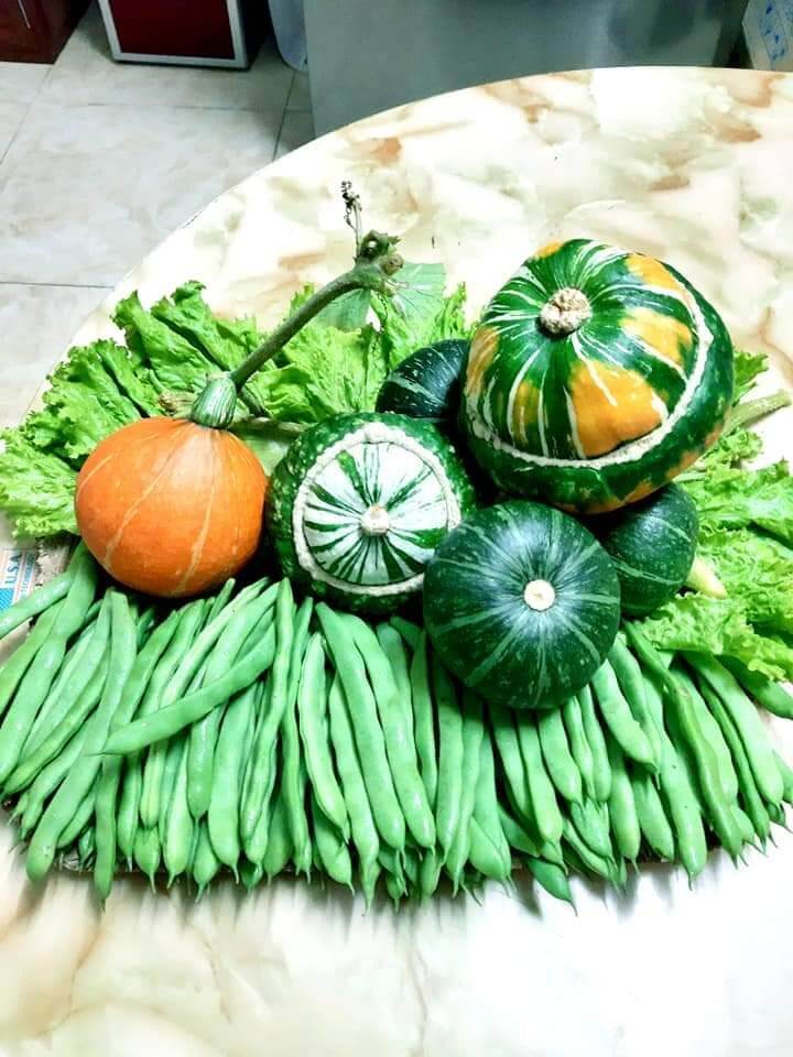 10 HẠT GIỐNG BÍ TÍ HON