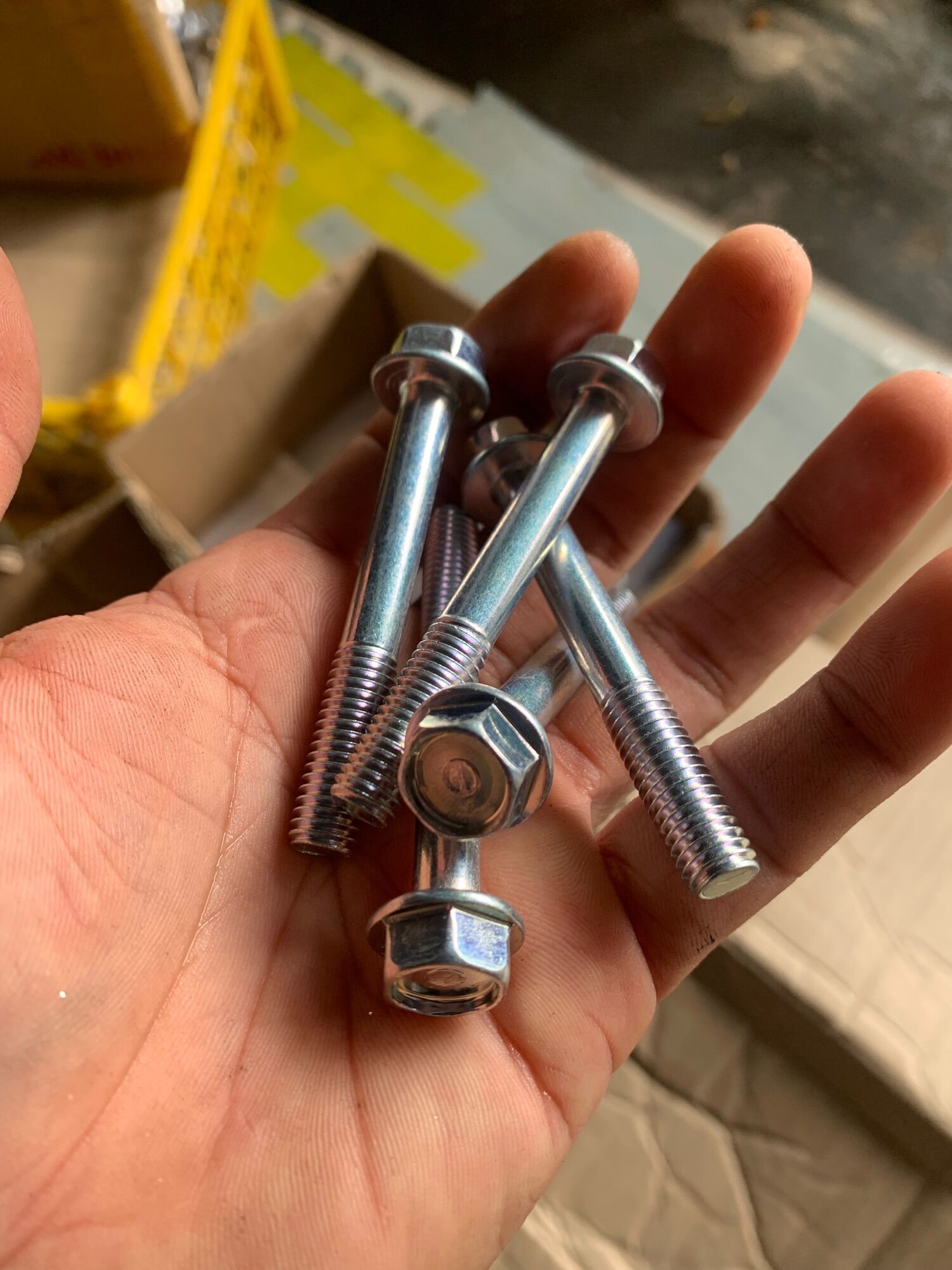 Ốc 8ly 2-3-4-5-6-7 phân (5 con) (loại xịn)