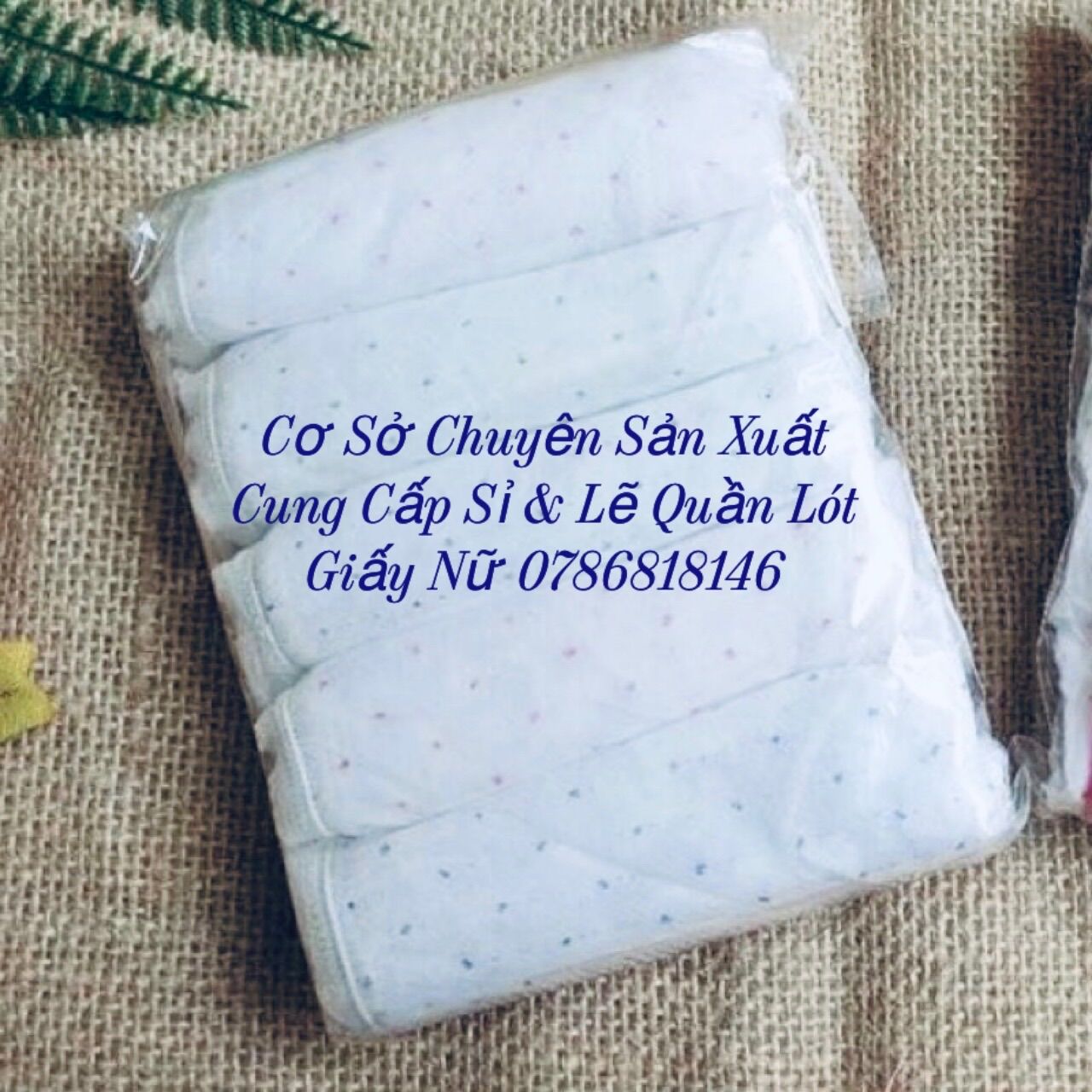Quần Lót Giấy sử dụng 1 lần 1 gói 5 chiếc (MSP: Lưng Ren - 2lớp đáy)