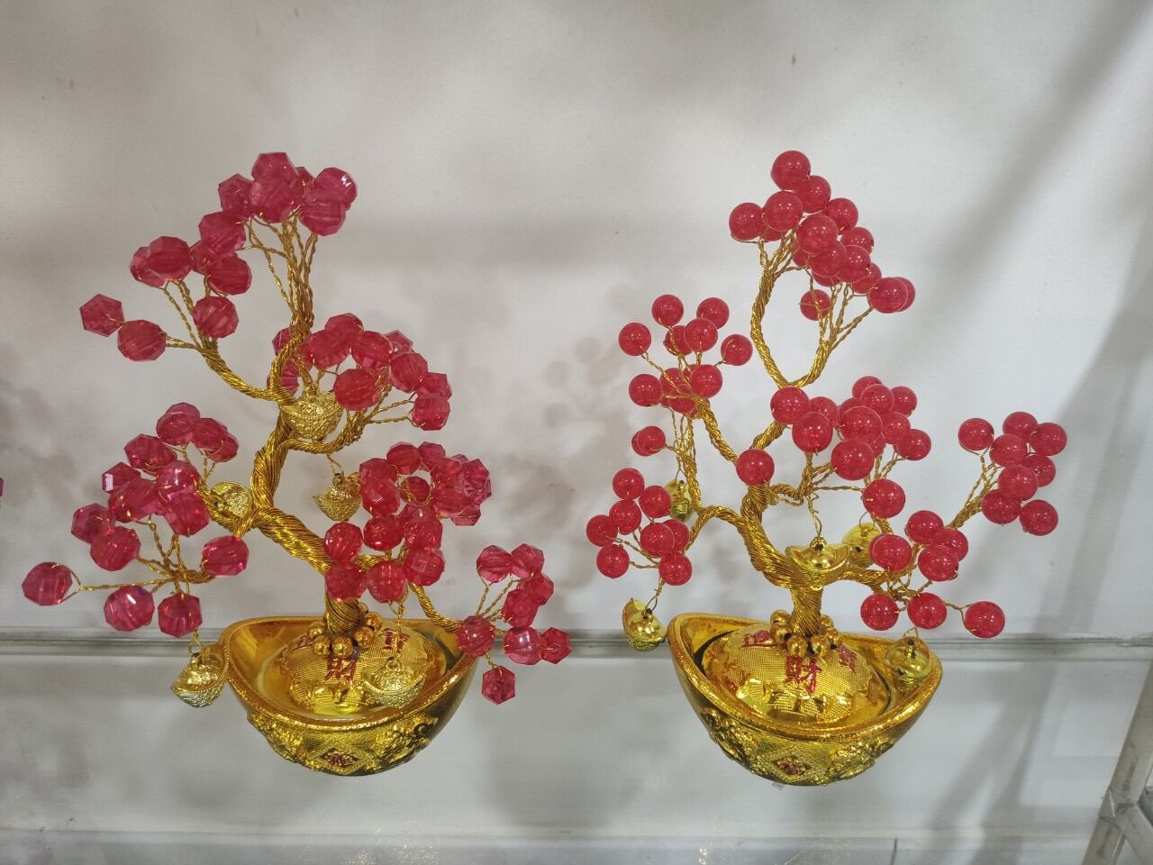 Cây kim tiền mini cao 16cm