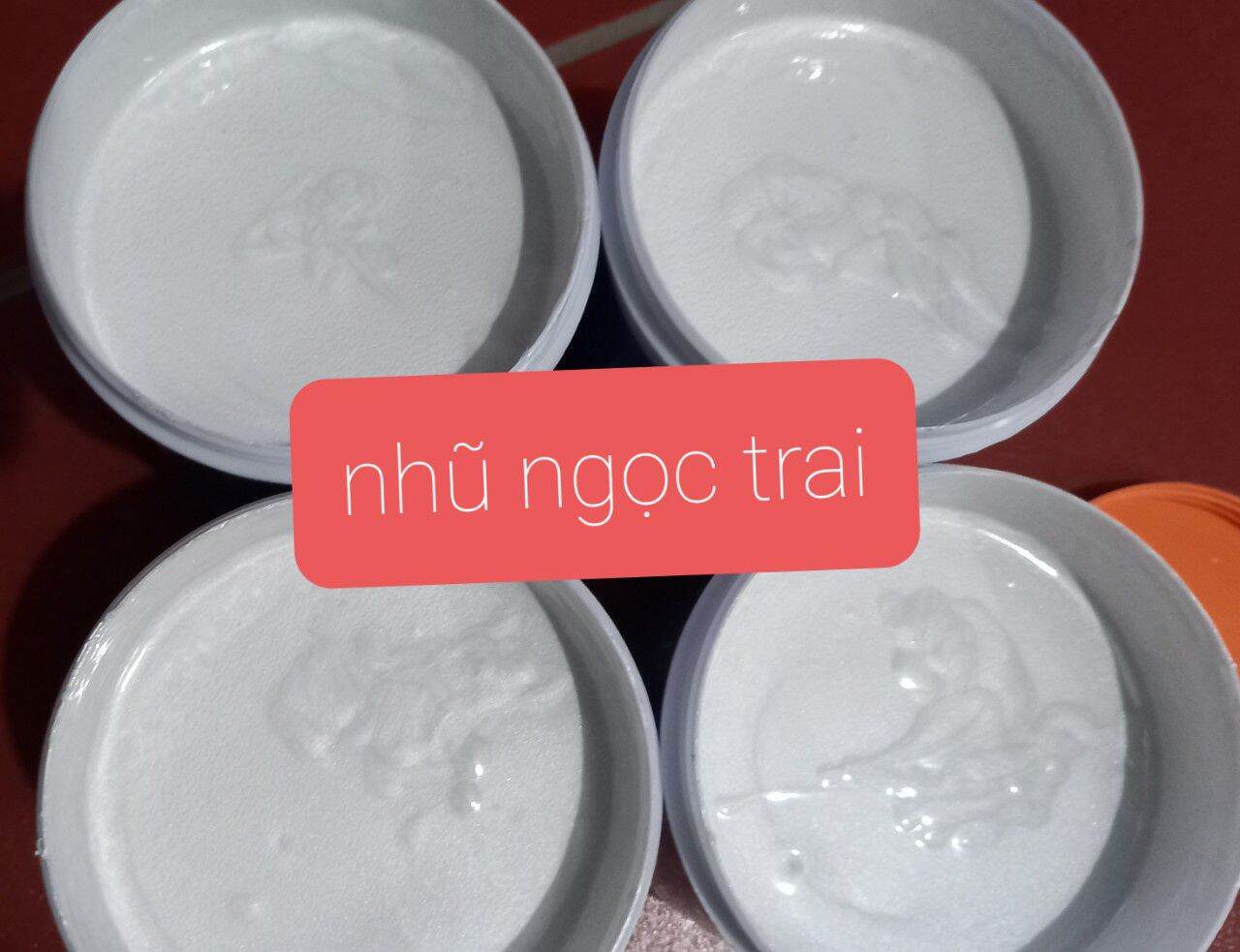 Sơn nhĩ bạc ngọc trai là sơn ngoại thát trang tri sơn chậu cảnh