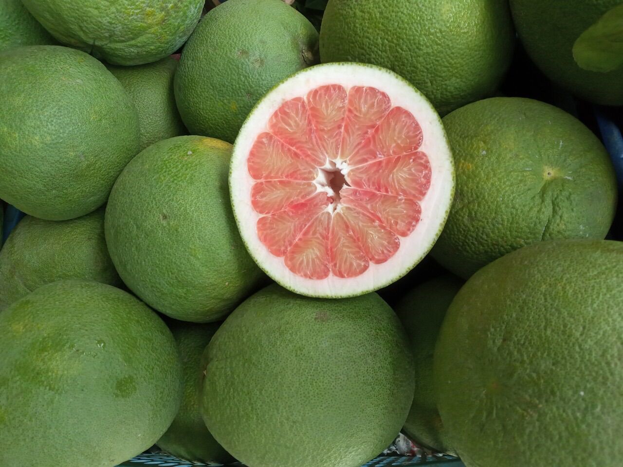 Bưởi da xanh bến tre loại 1