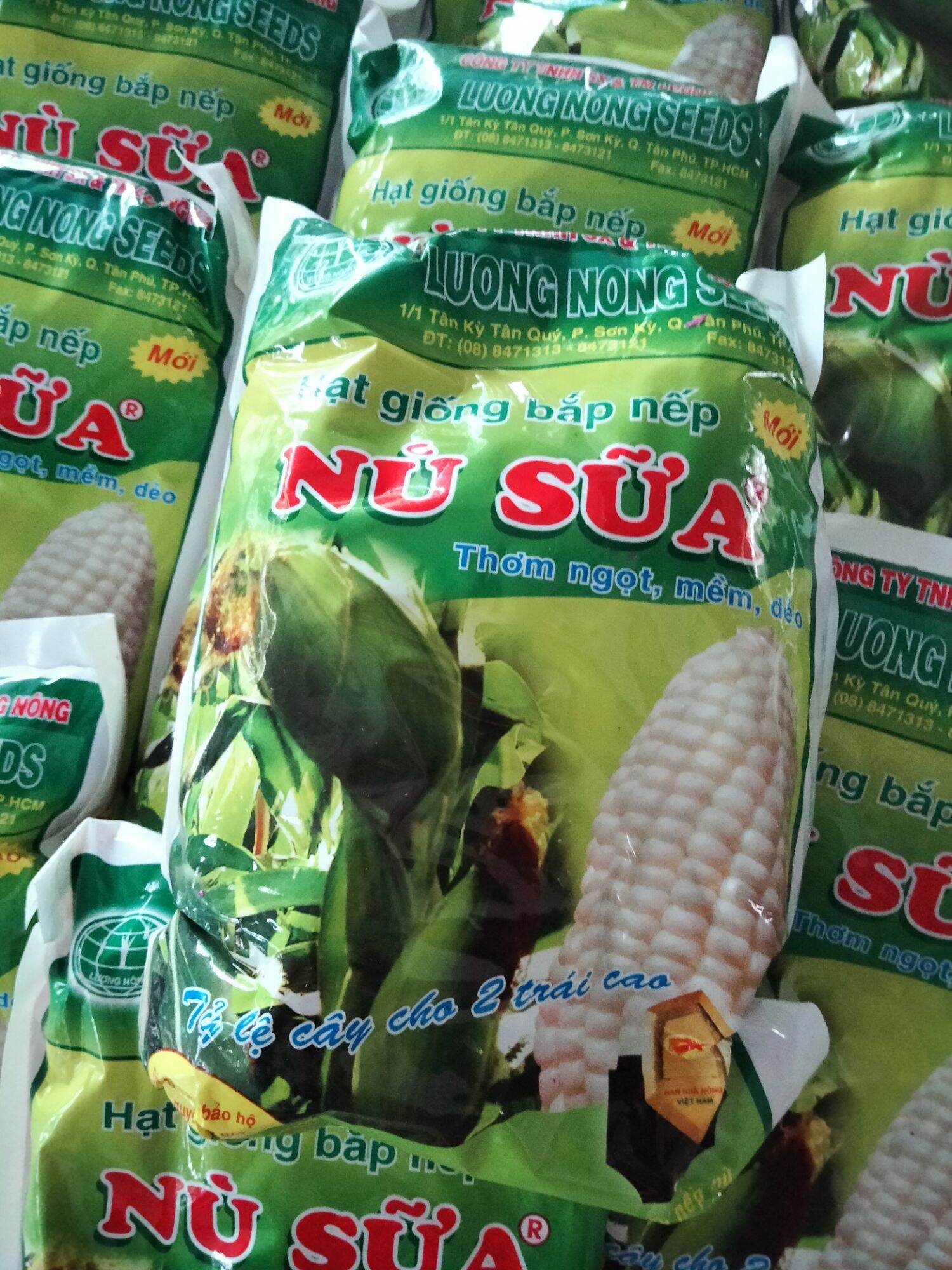 1kg hạt giống bắp nếp nù sữa