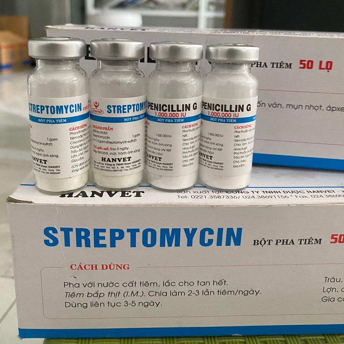 Penicillin G và Streptomycin (lọ 1g) hanvet bột pha tiêm xử lý các bệnh đóng dấu, nhiệt thán, mụn nhọt, áp xe,.. ở gia súc gia cầm