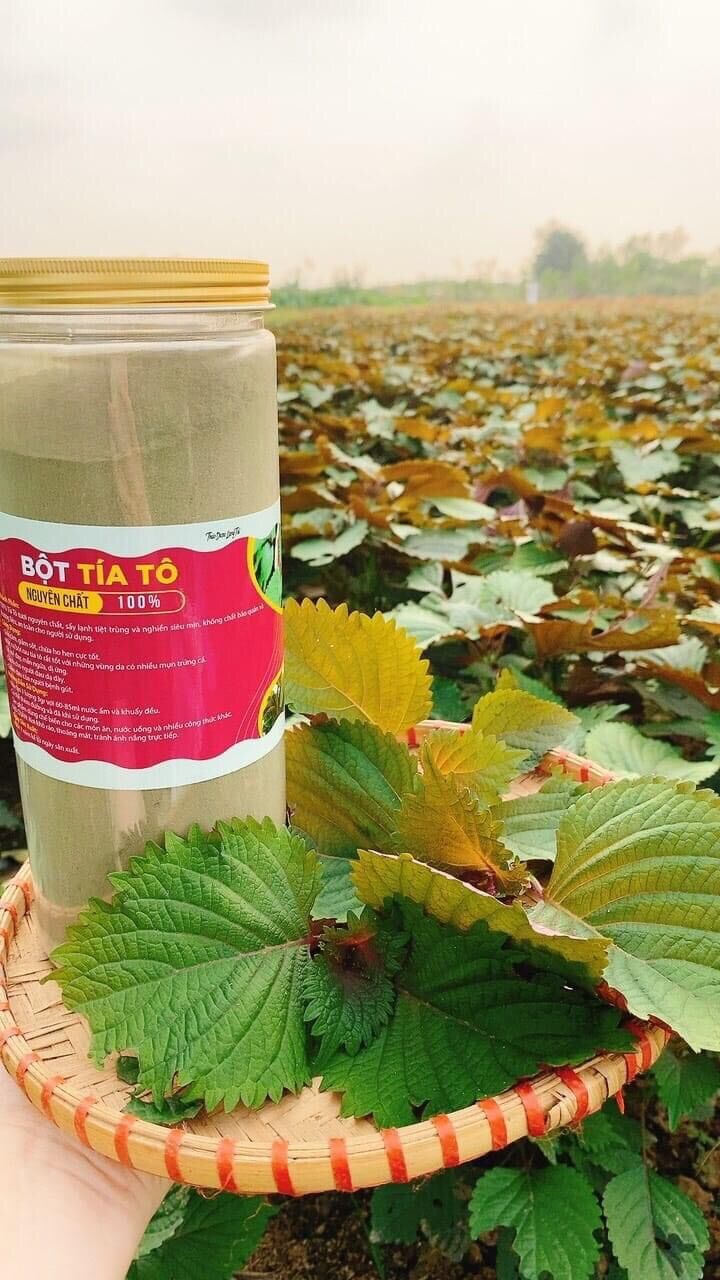 Bột lá tía tô sấy lạnh hủ 500gr