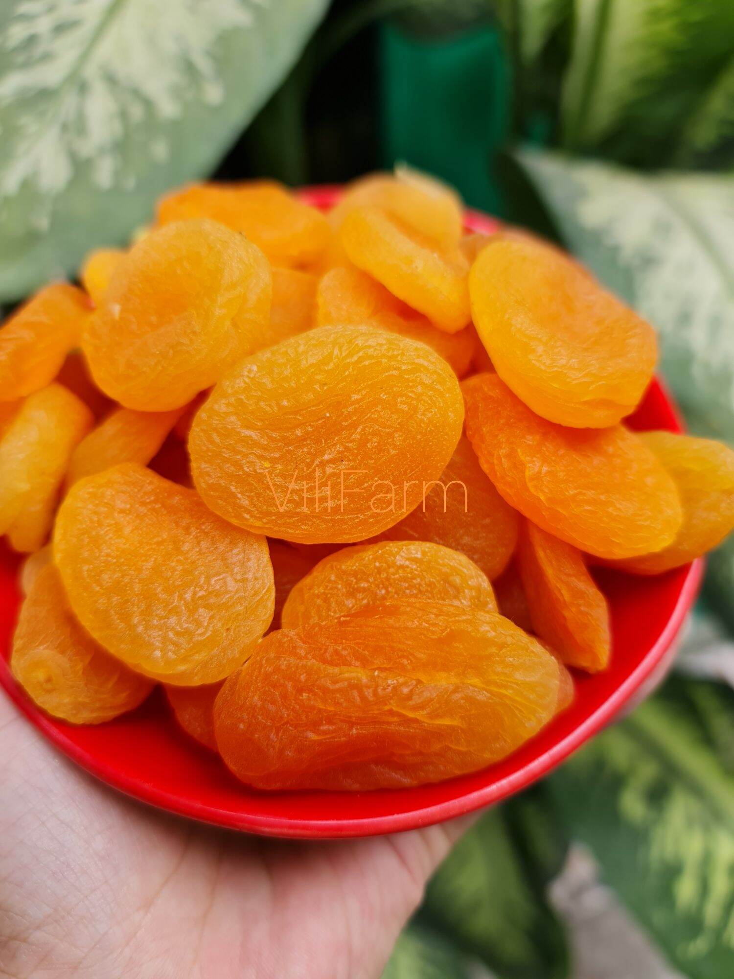 Mơ thổ nhĩ kỳ sấy lạnh 200g