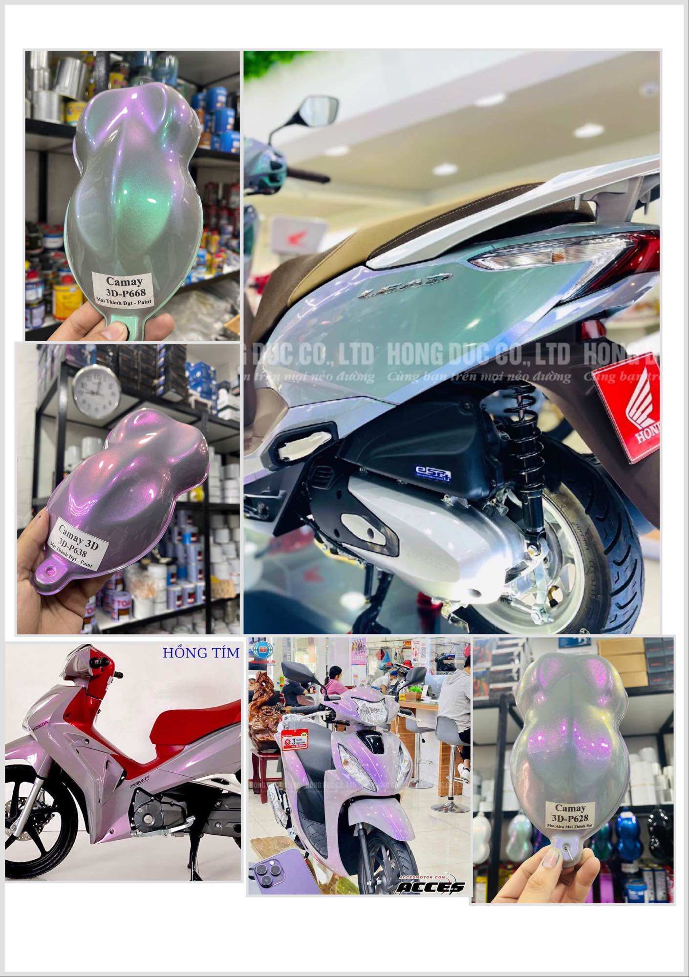 Màu Sơn Xám Ximang Ánh Các Màu Trong Hãng Honda MaiThànhĐạt