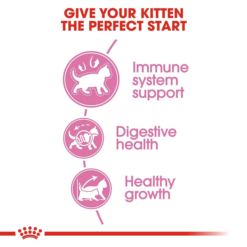 Hạt Royal Canin cho mèo con - túi chiết 1kg