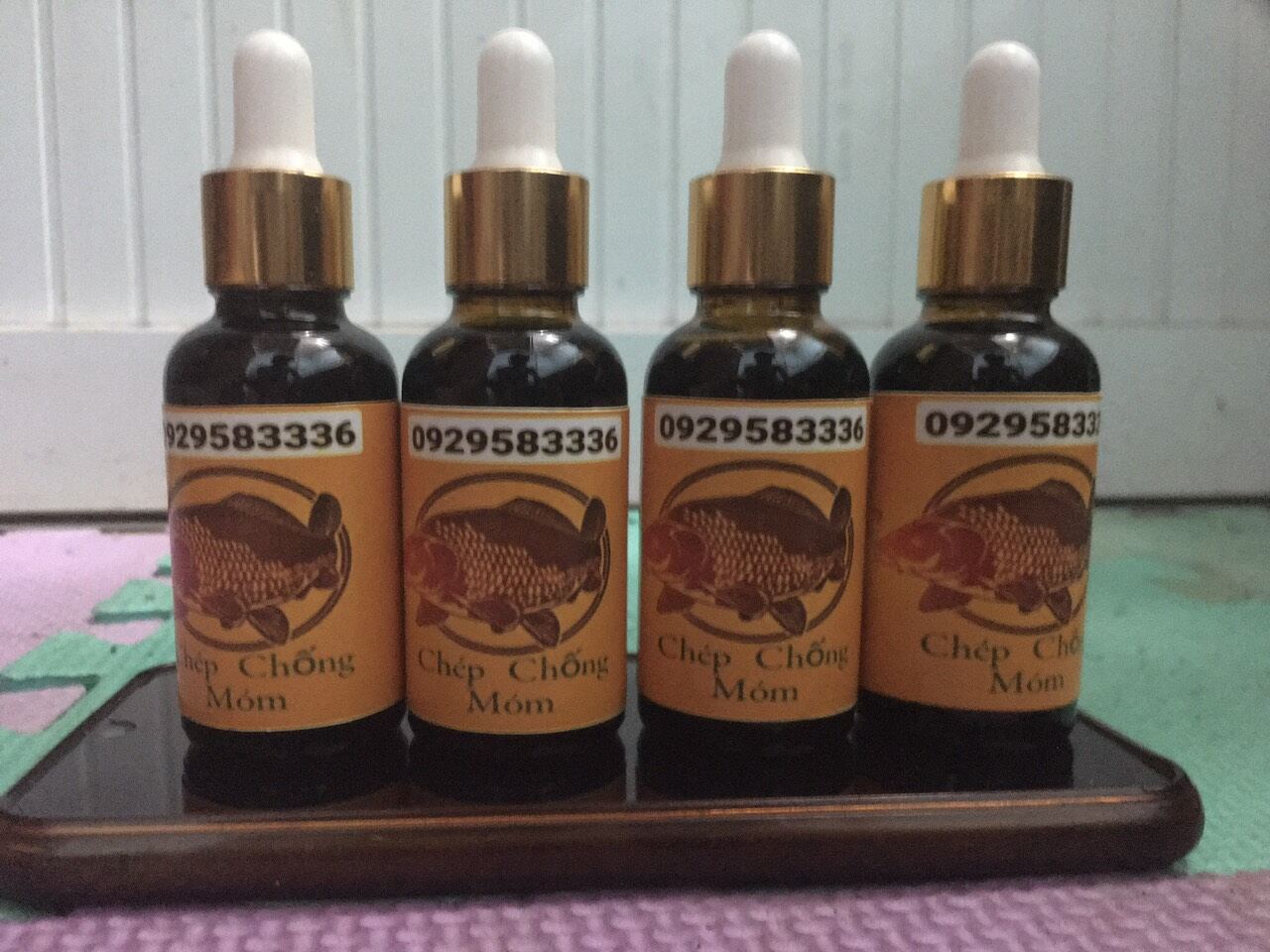 Chép chống móm