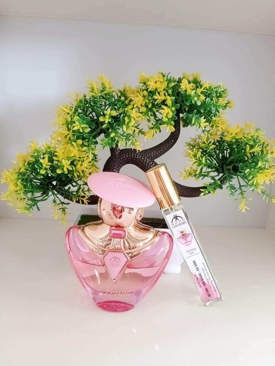 Nước Hoa CharmS  50ml chính hãng