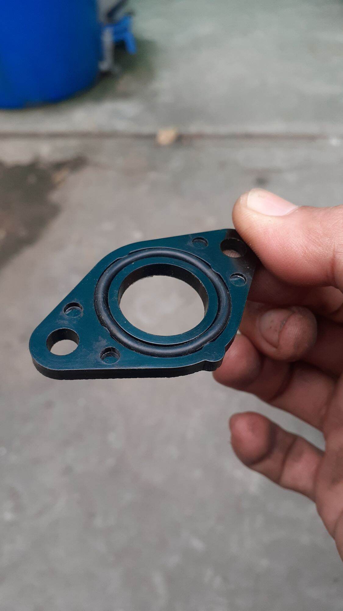 phíp trên co xăng xịn