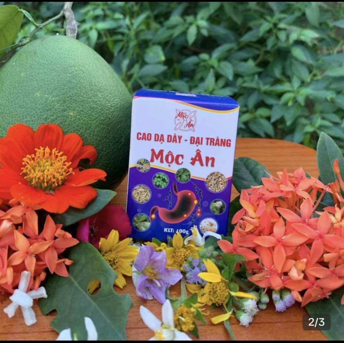 Trà Thảo mộc Cao Dạ Dày - Đại Tràng | Thành phần tự nhiên | Hỗ trợ tiêu hóa