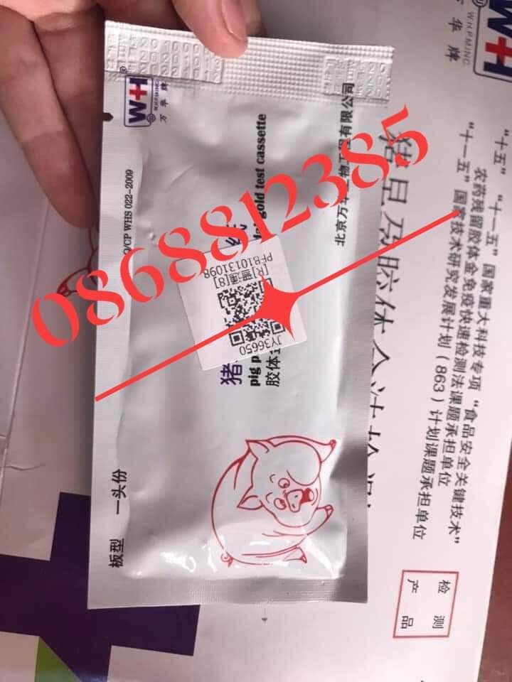 5 QUE THỬ THAI HEO - 0868812385