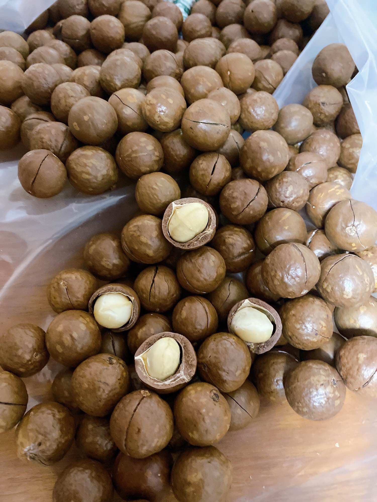 500G Quả Macca Daklak thơm ngon
