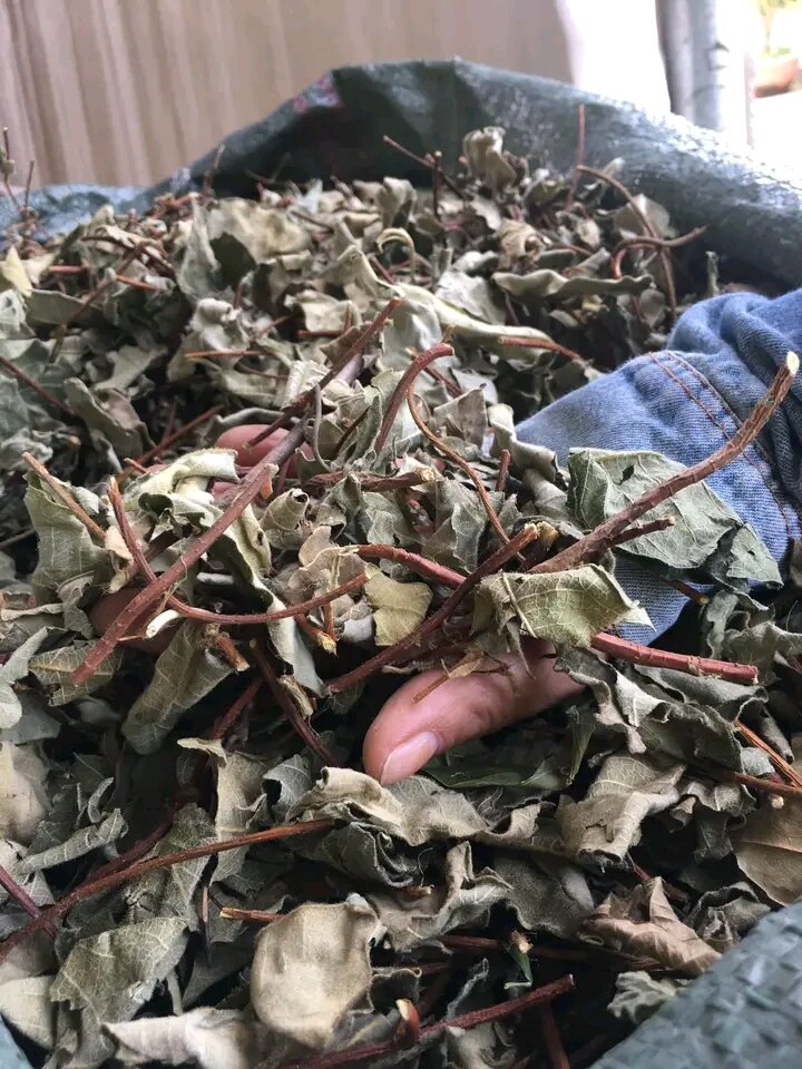 1kg Dây hà thủ ô.lá hà thủ ô phơi khô