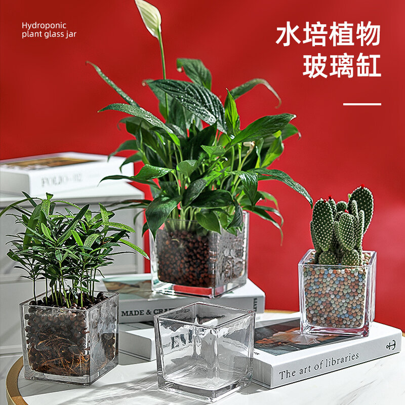Chậu hoa thủy canh đơn giản lọ hoa thủy tinh hình vuông lọ hoa thủy tinh trong suốt lọ đựng thực vật nuôi dưỡng nước củ cải lọ rùa đồ trưng bày lọ cắm hoa