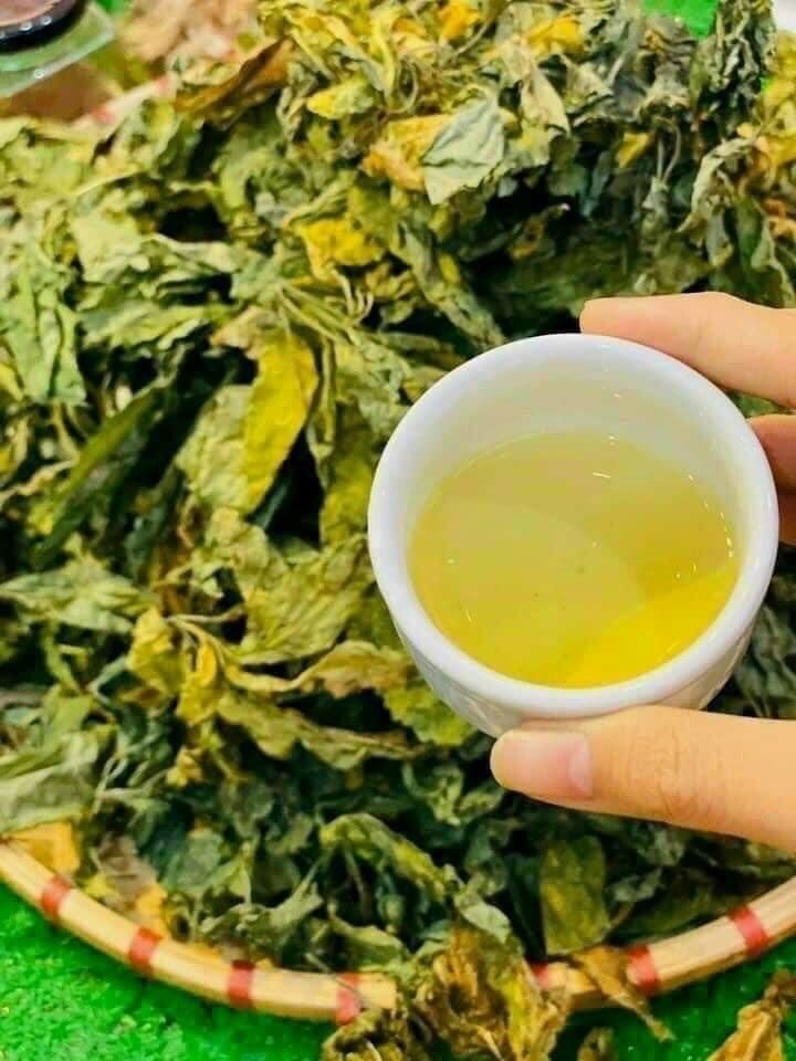hộp trà lá sâm ngọc linh khô 100g