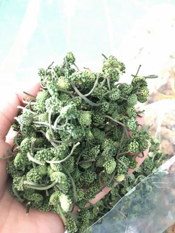 Nụ tam thất sấy khô túi 500g