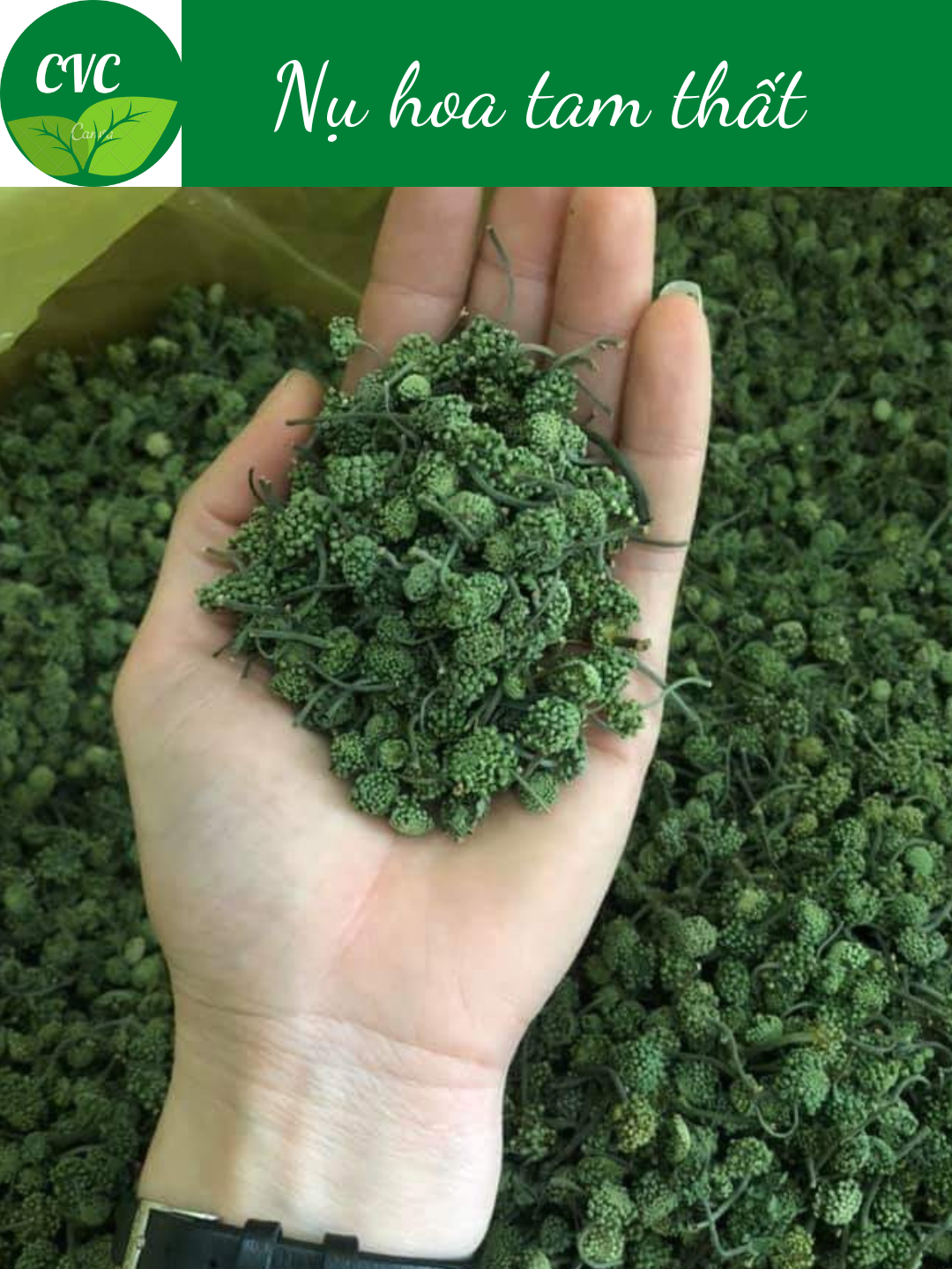 Nụ hoa tam thất 500g