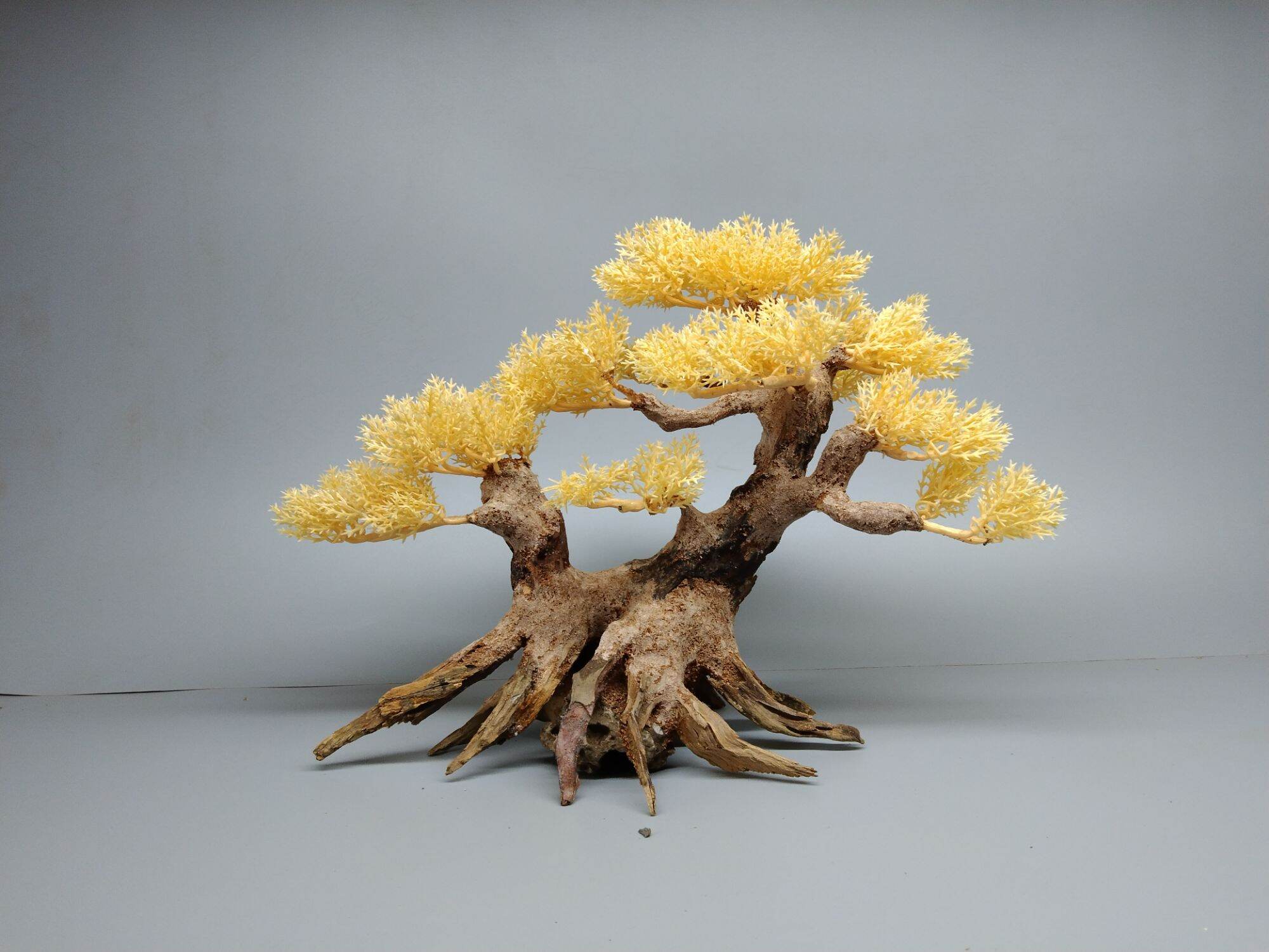 Cây gỗ lũa bonsai tán Tùng 2 thân cho hồ cá cảnh (có 4 màu: Xanh, Đỏ, Cam, Kem)
