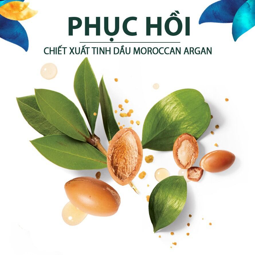 Combo Dầu Gội và Dầu Xả HERBAL ESSENCES