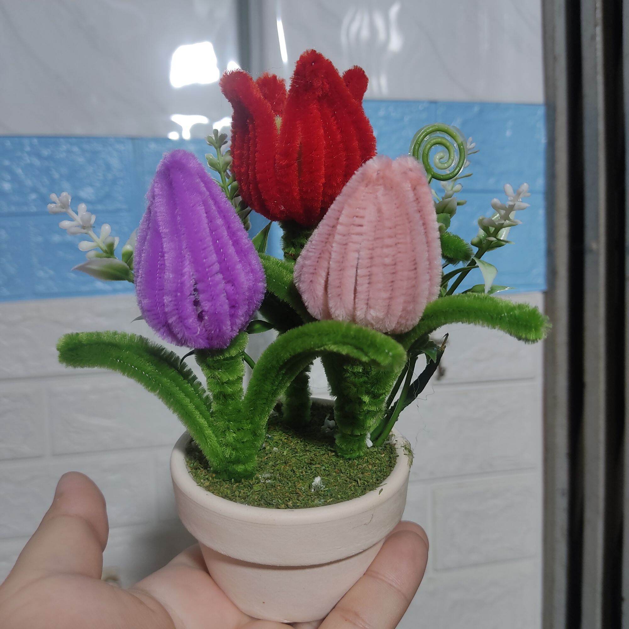 chậu hoa tulip mini để bàn decor
