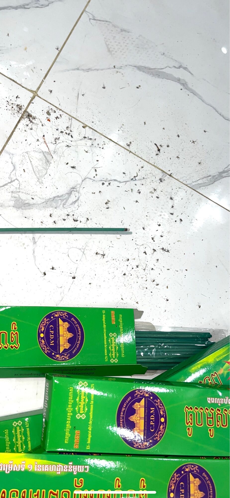 10 hộp nhang muỗi thái cây xanh ( loại diệt muỗi ) 30 cây 1 hộp