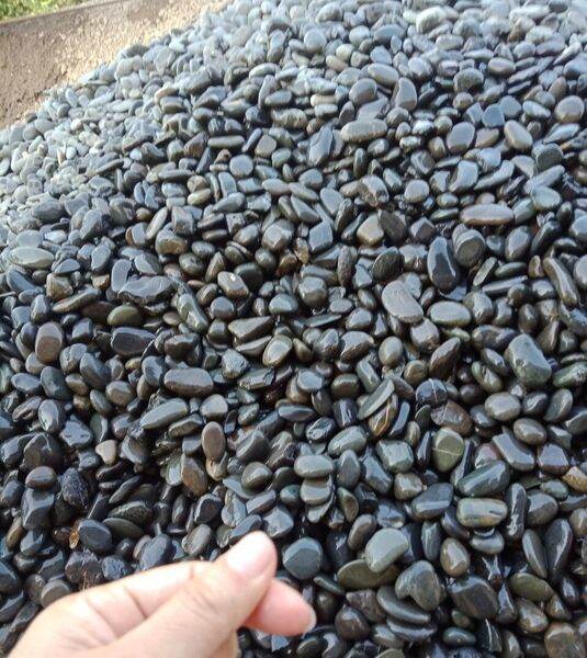 Sỏi cuội đen nhỏ 1kg dùng để trang trí bể cá
