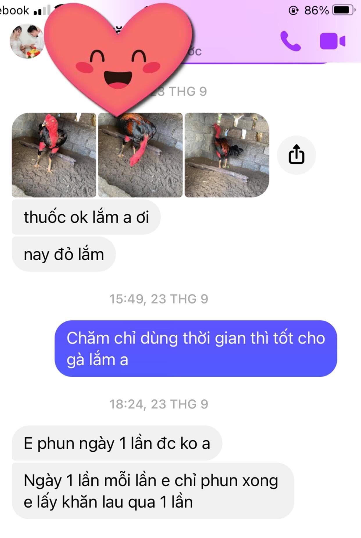 Breast tie chicken bottle