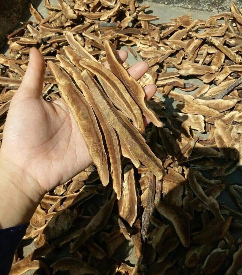 Nấm Linh Chi Rừng Thái Lát 1Kg