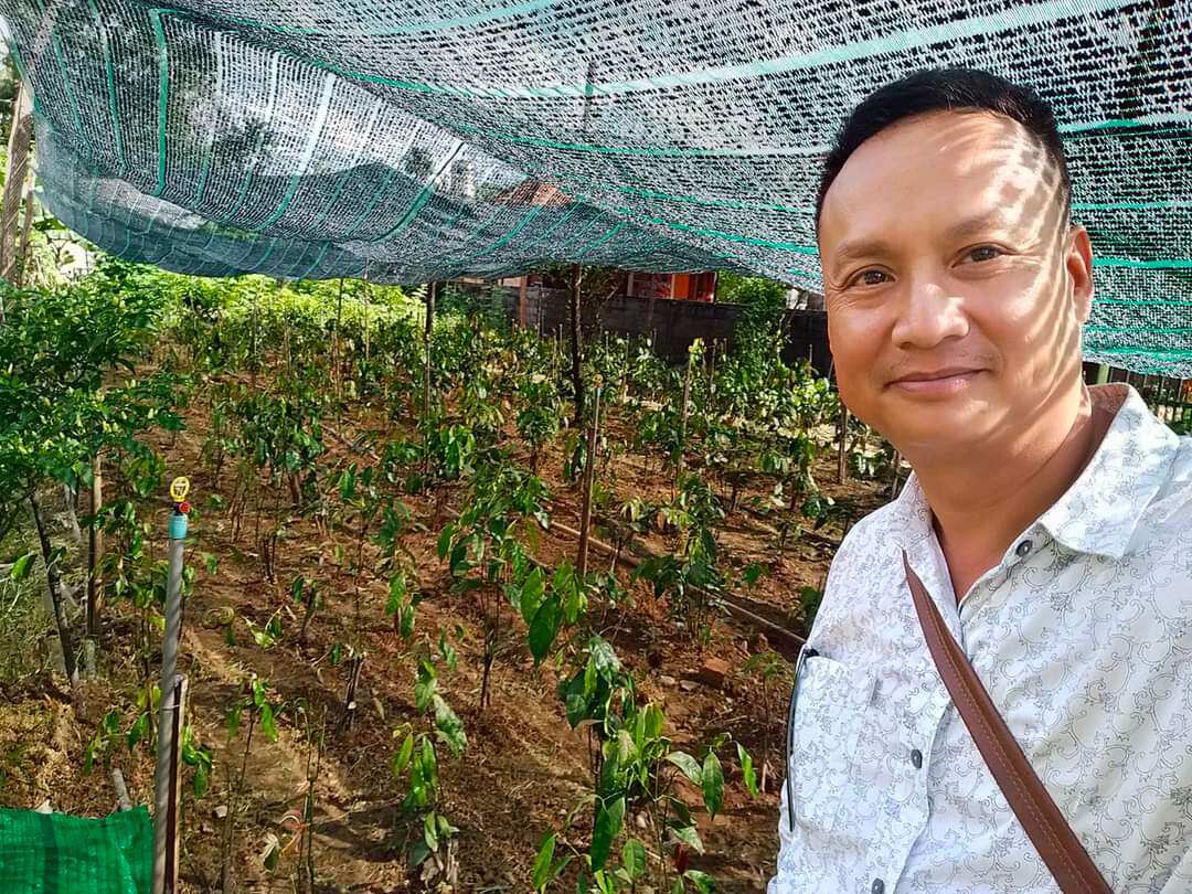 BẦU CÂY GIỐNG RAU BÉP RỪNG K'LONG