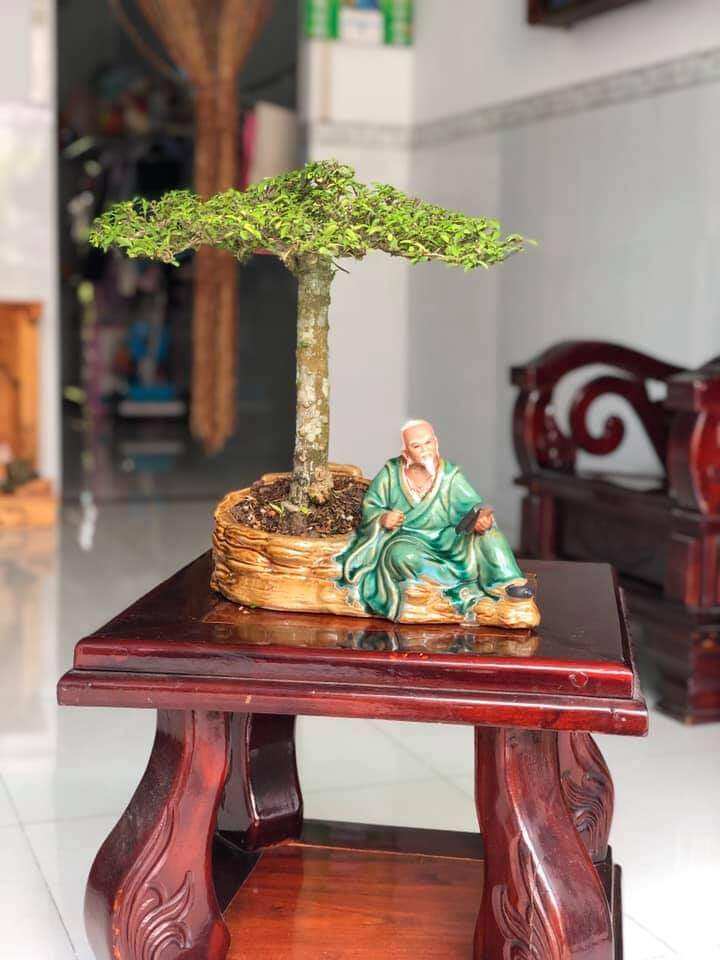 đọc sách