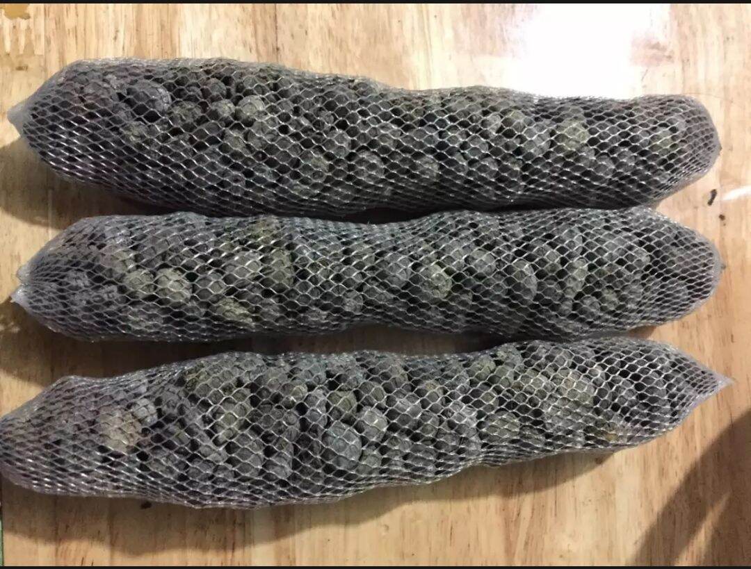 COMBO 10 TÚI PHÂN DÊ dài từ 20-25cm