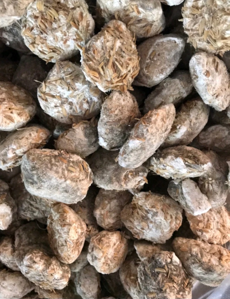 5 Viên men rượu làm 500g cơm rượu nếp
