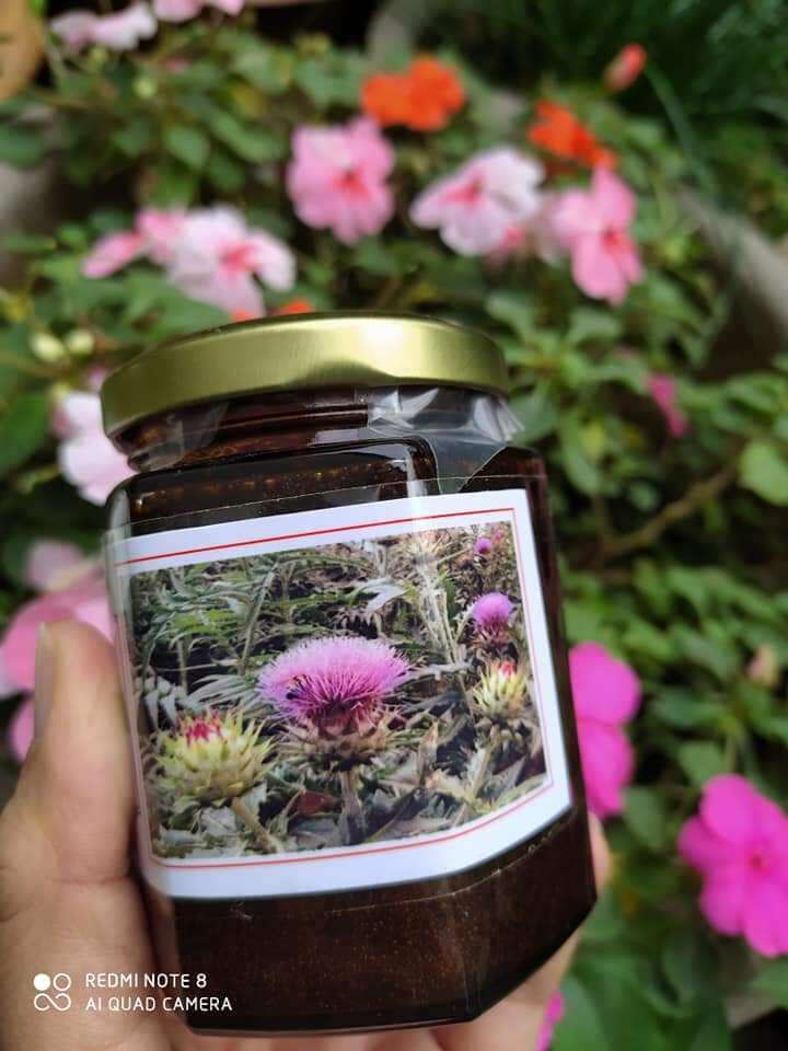 Cao Atiso Sapa