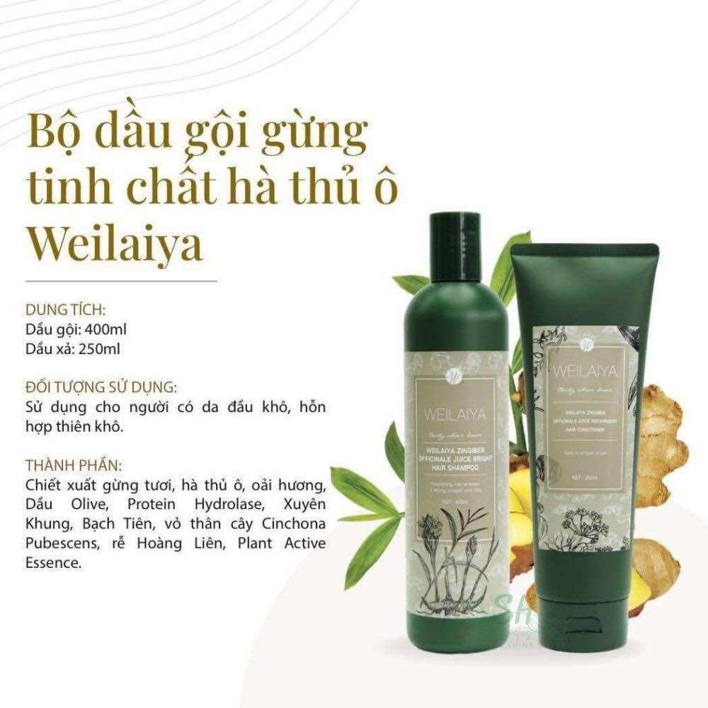 Cặp gội xả gừng tinh chất hà thủ ô welaiya