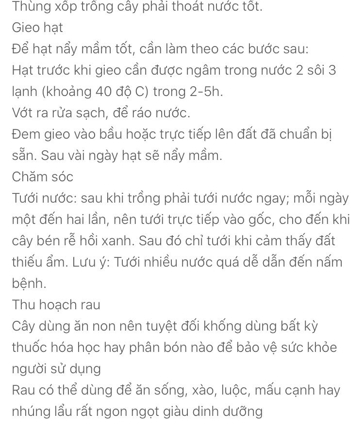 Hạt cải xanh ăn non